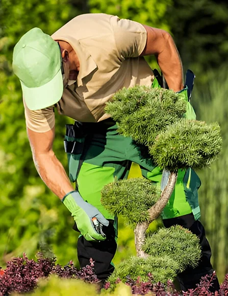 Dallais Les Paysages Creation De Bassin Asse Le Boisne Creation Et Entretien Paysagere 10 Dallais Les Paysages Creation De Bassin Asse Le Boisne Creation Et Entretien Paysagere 10