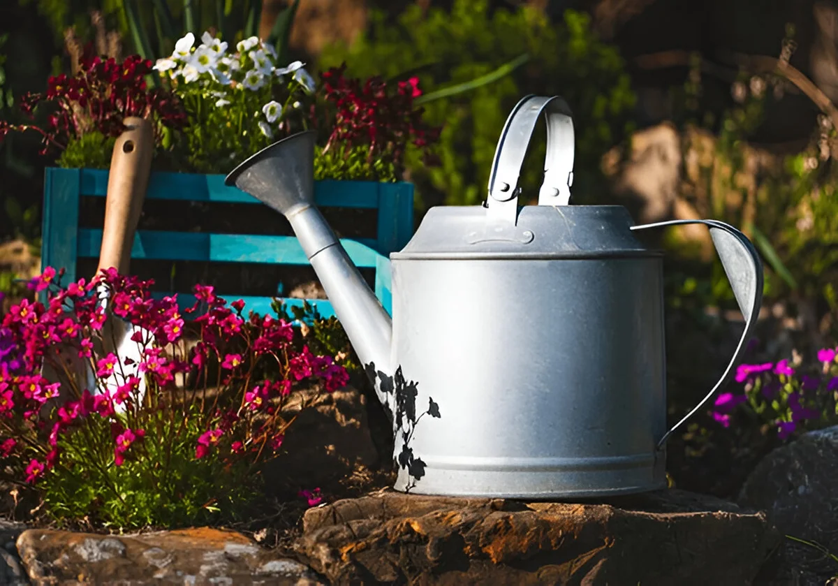 Dallais Les Paysages Creation De Bassin Asse Le Boisne Des Objets De Jardinage